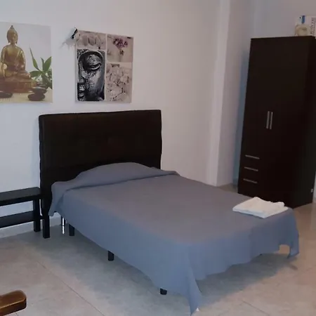 Tampico アレシフェ